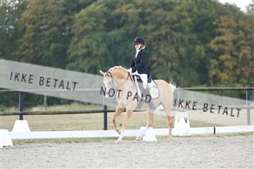 181894_mtp_04_R62_4028.JPG