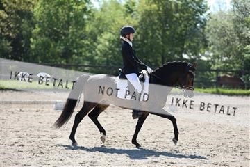 168732_mtp_01_3M5A6492.JPG