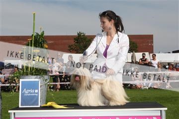 130370_se_02_IMG_6377.JPG