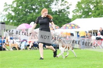 181564_rin_01_R62_8014.JPG