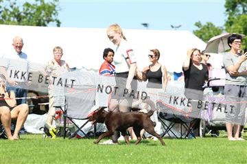 181564_rin_02_R62_2677.JPG