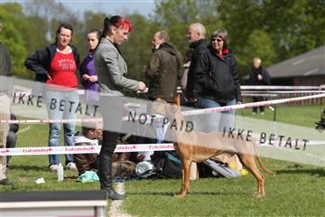 134871_ms_04_IMG_0807.JPG
