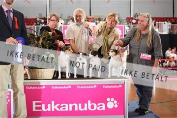 6068_ma_07_IMG_6654.JPG