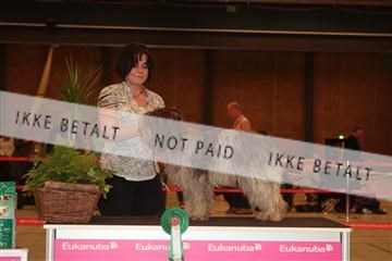 124188 _tl_02_IMG_9301.JPG