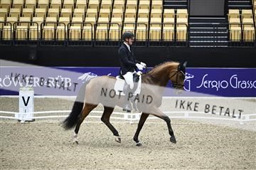 182194_kbb_01_Z095416.JPG