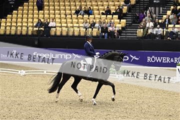 182194_kbb_03_Z091337.JPG
