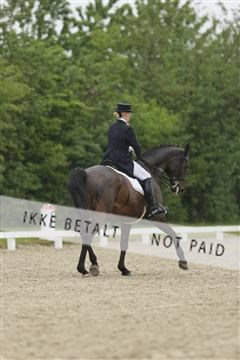 139835_sg_02_IMG_8687.JPG
