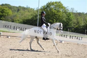 168732_mtp_01_3M5A6771.JPG