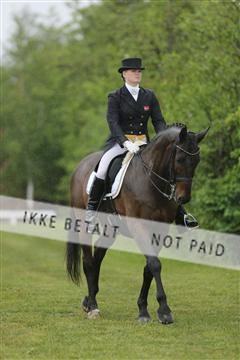 139835_sg_02_IMG_8670.JPG