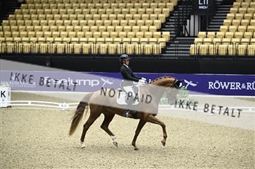 182194_kbb_01_Z095575.JPG