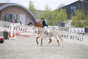 181332_kbb_02_6II5529.JPG