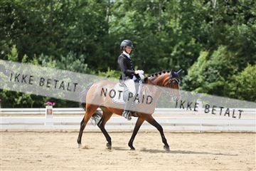 156196_nn_01_IMG_6176.JPG