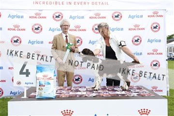 181564_kar_01__62_6784.JPG