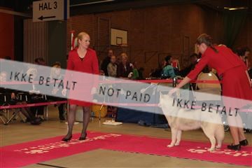 124188 _tl_02_IMG_9194.JPG