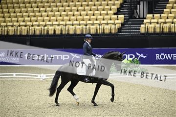 182194_kbb_01_Z095348.JPG