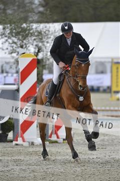 139644_abo_03__AB15068.JPG