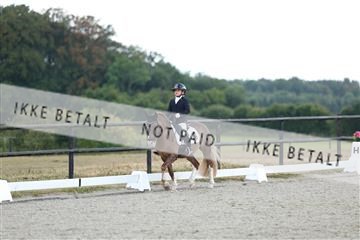 181894_mtp_05_R62_4250.JPG