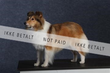 132082_le_ 01_IMG_0786.JPG