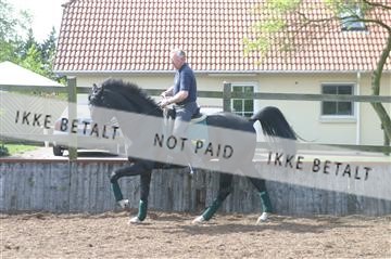 100-0012_IMG.JPG