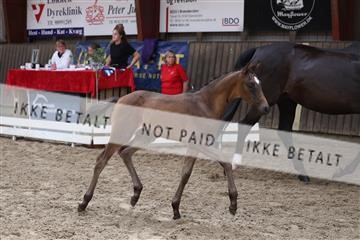 175231_kbb_01_R6II5628.JPG