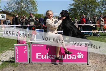 134871_ms_02_IMG_3234.JPG