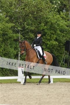 139835_sg_02_IMG_8715.JPG