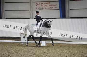 140040_abo_02__AB19622.JPG