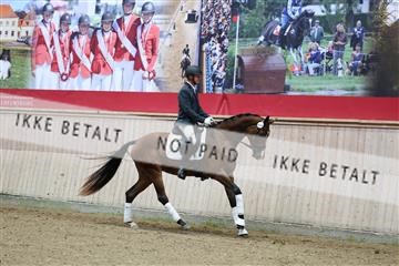 181887_mtp_04_R62_8417.JPG