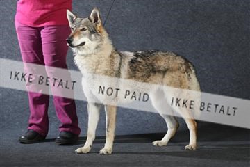 132082_le_ 01_IMG_0981.JPG