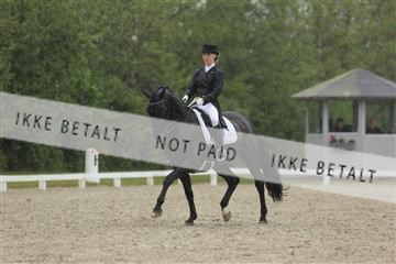 139835_sg_02_IMG_8793.JPG