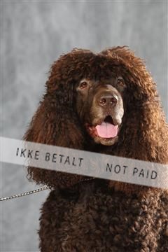 130054_le_ 01_0341.JPG