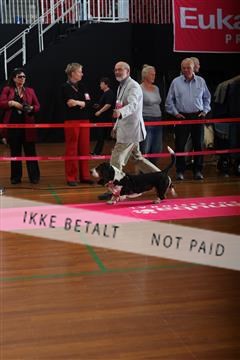 6068_ma_07_IMG_7035.JPG