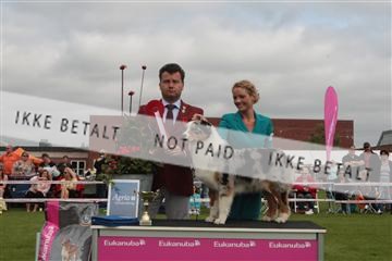 130370_tl_01_IMG_7300.JPG