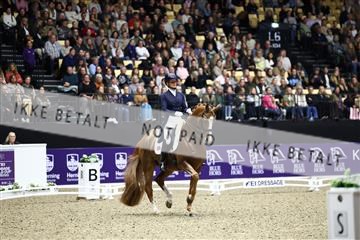 182194_avh_06_3571.JPG