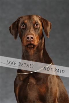 132082_le_ 01_IMG_1354.JPG