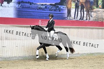 182241_kbb_01_Z094077.JPG