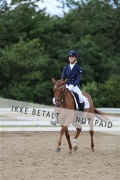 156196_nn_01_IMG_6382.JPG