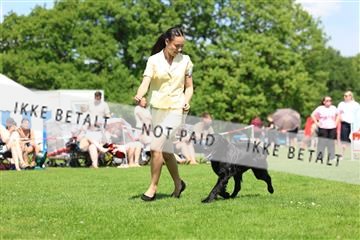 181564_rin_02_R62_2560.JPG