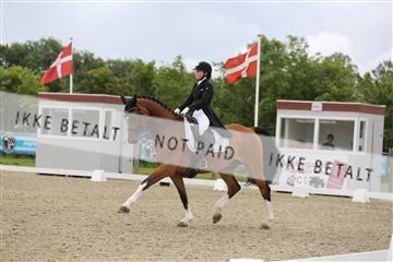 156196_nn_01_IMG_5336.JPG