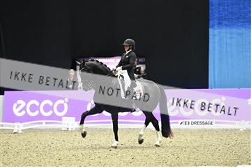 182194_kbb_03_Z092466.JPG