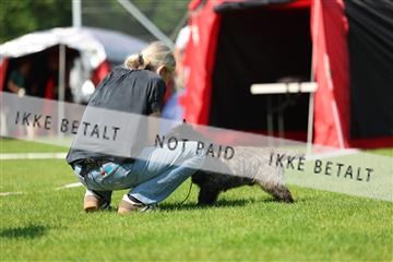 181564_rin_01_R62_7614.JPG