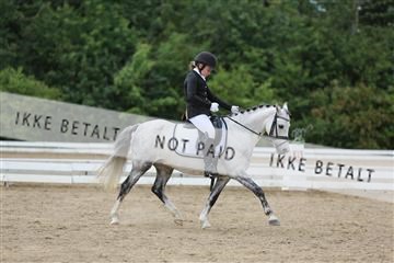 156196_nn_01_IMG_6483.JPG
