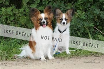 130370_se_01_IMG_5355.JPG