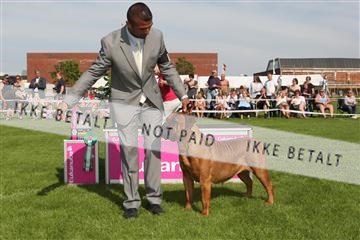 130370_se_02_IMG_6529.JPG
