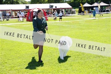 181564_kar_01__62_8511.JPG