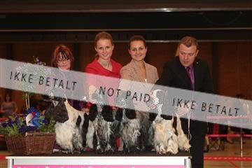 124188 _tl_02_IMG_9273.JPG