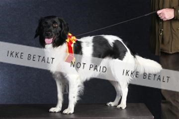 132082_le_ 01_IMG_0562.JPG