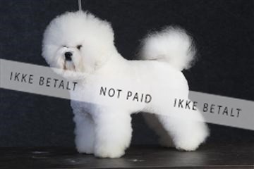 132082_le_ 01_IMG_0188.JPG