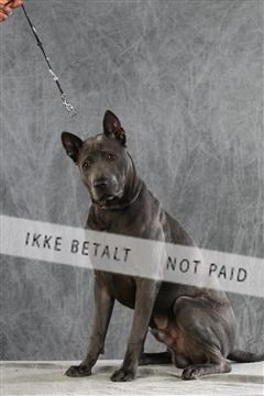 128239_le_ 06_0066.JPG