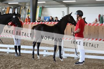 181756_mtp_03_R62_2479.JPG